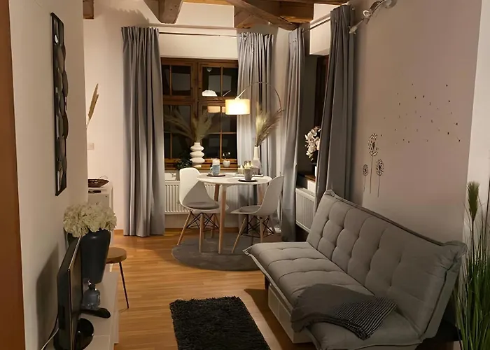 Apartment Ulmer Spatzennest Ulm